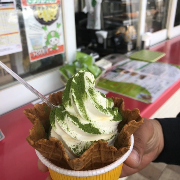 サヤマ テラス(SAYAMA TERRACE)