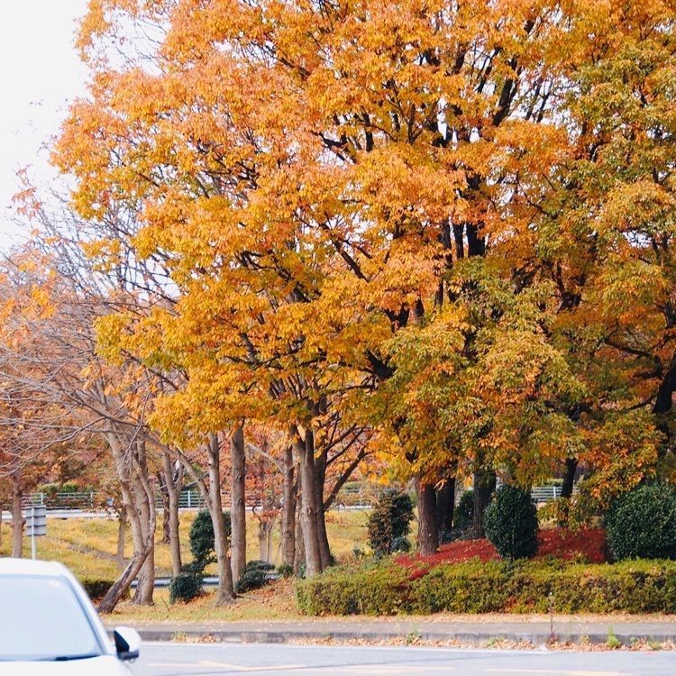 那須高原サービスエリア(上り線)ショッピングコーナー