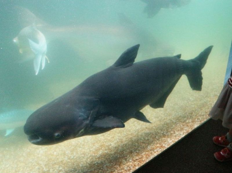 アクア・トト ぎふ