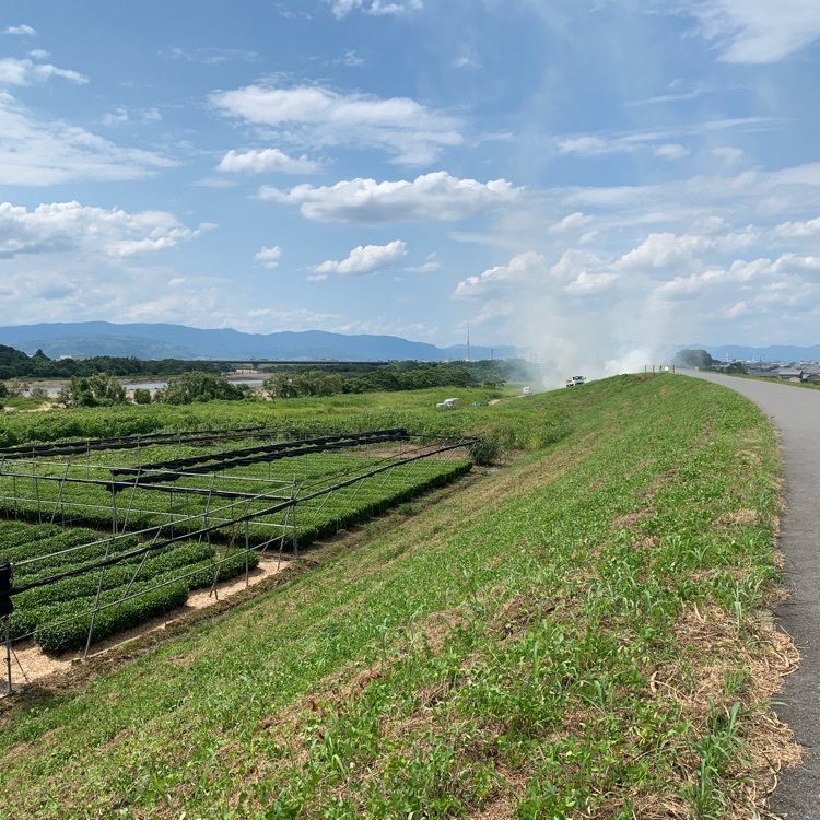 あらす観光いも掘り農園