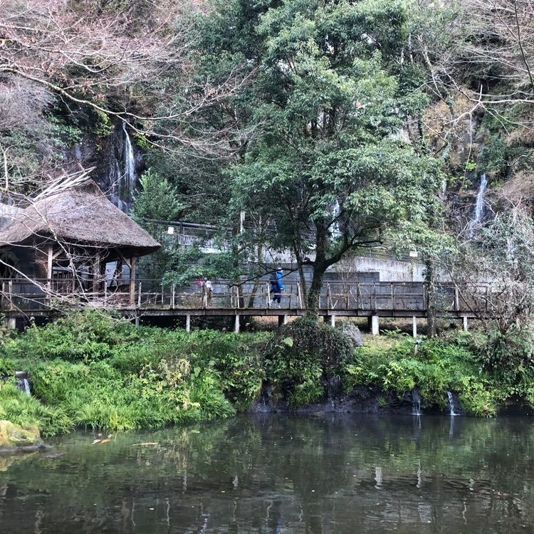 御食事処 田舎屋