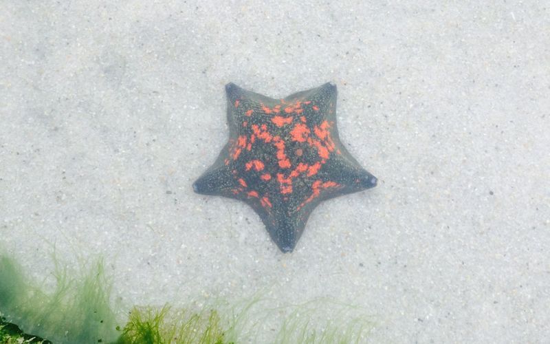 仙台うみの杜水族館スナックコーナー