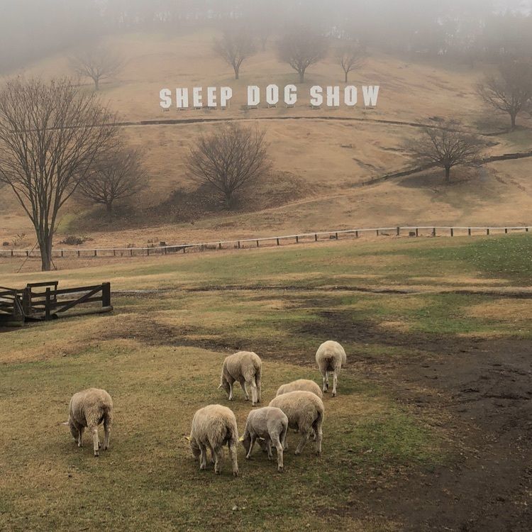 伊香保グリーン牧場（イカホグリーンボクジョウ）