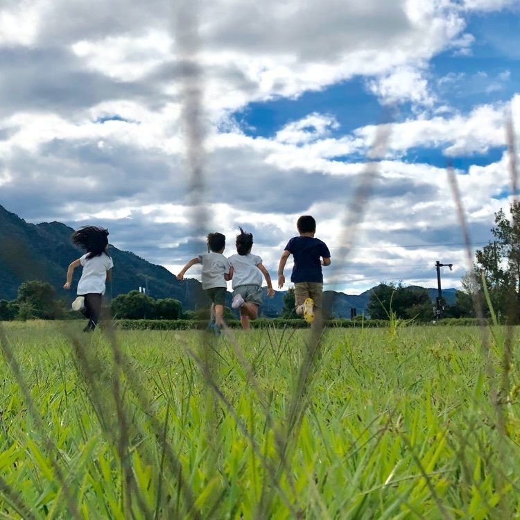 道の駅 丹波おばあちゃんの里