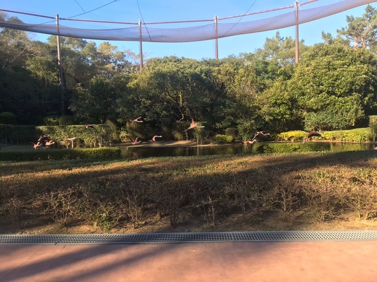 宮崎市フェニックス自然動物園
