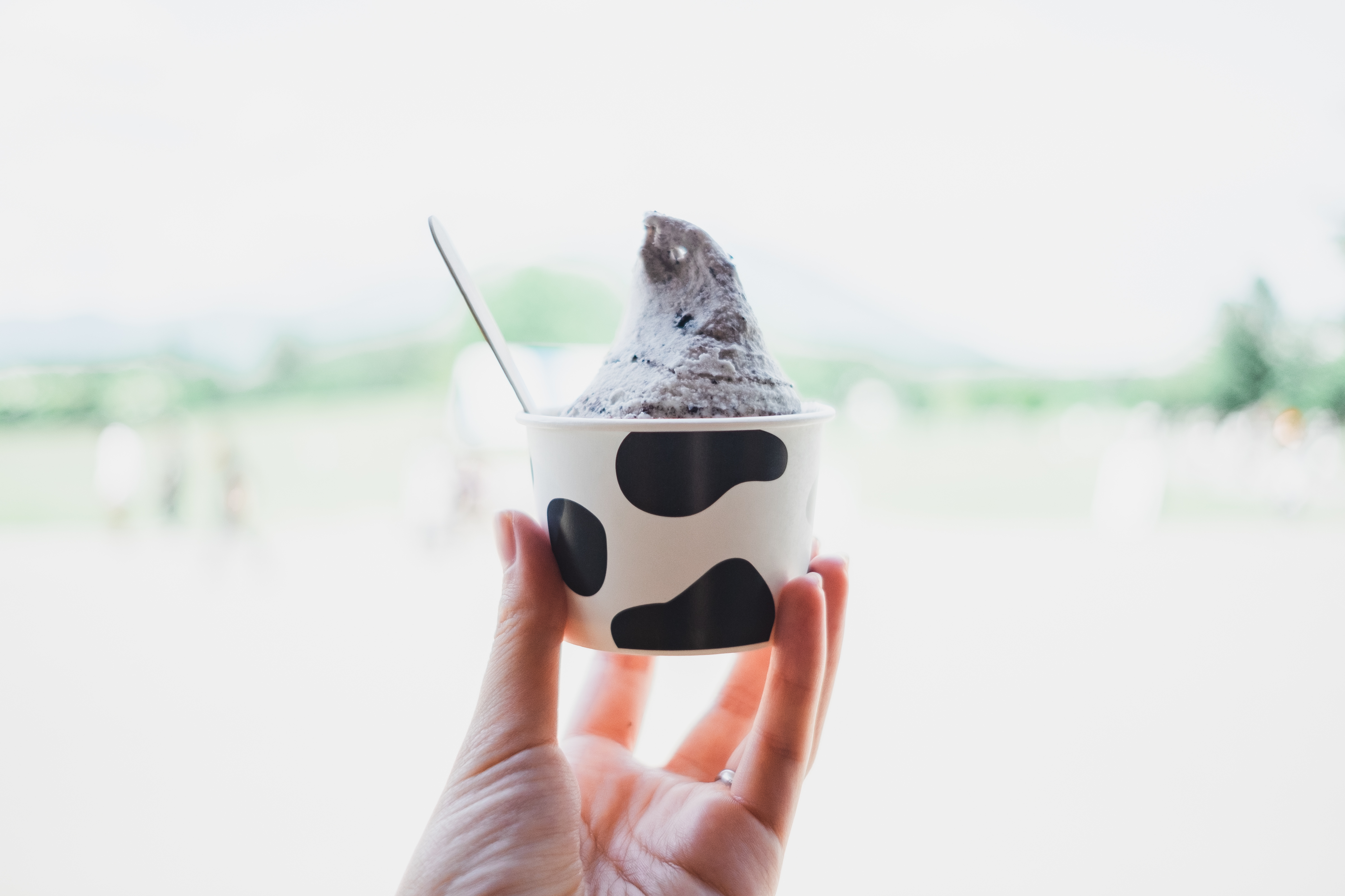 小岩井農場 ジェラートショップ