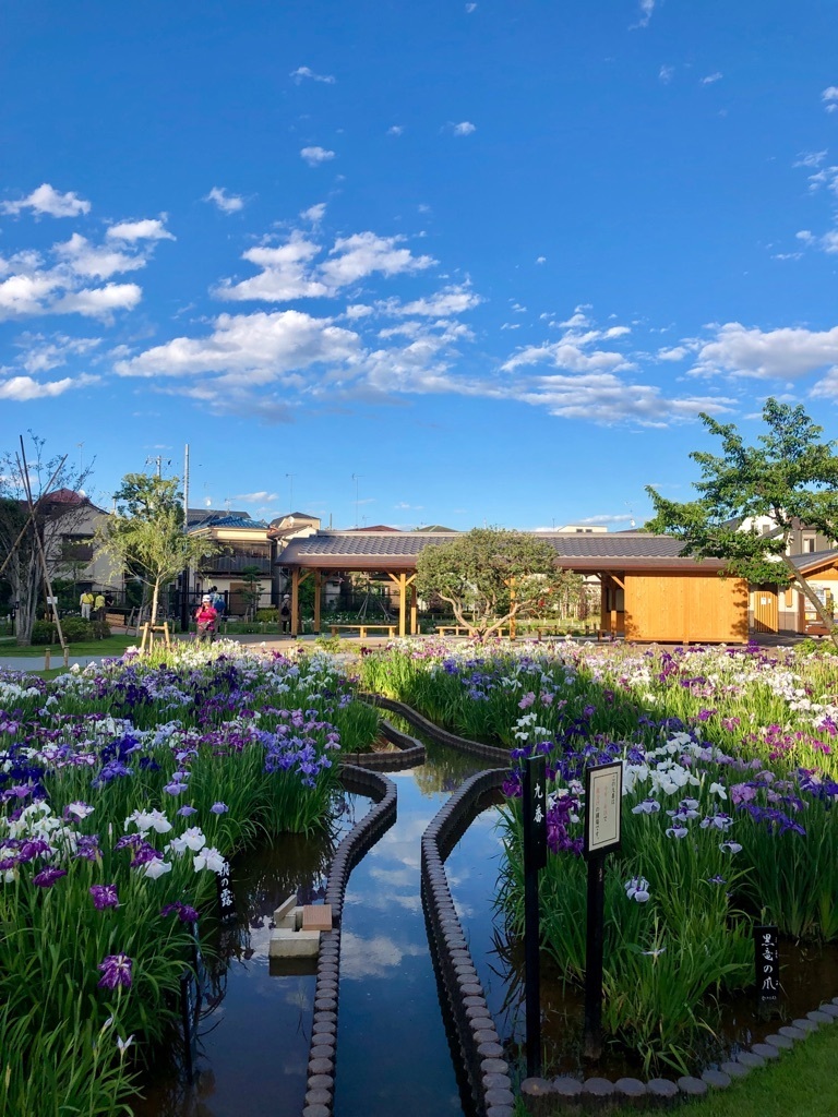 堀切菖蒲園