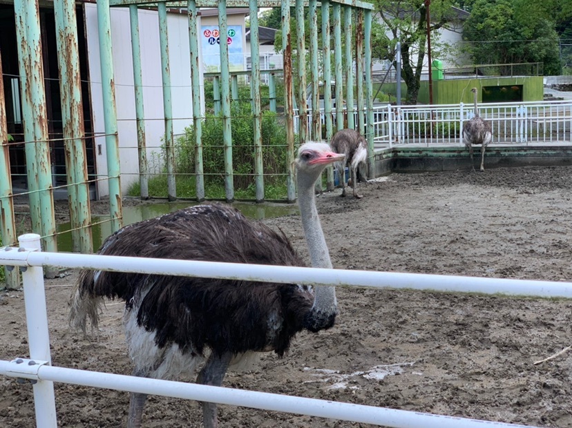 五桂池ふるさと村
