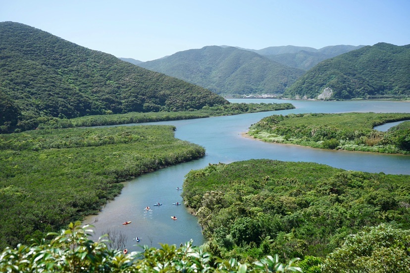 黒潮の森マングローブパーク