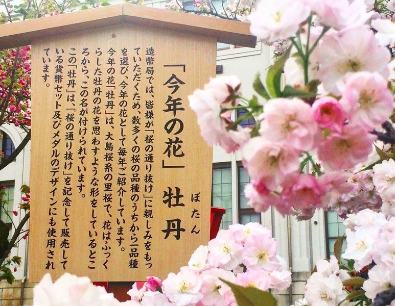 造幣局［工場見学］