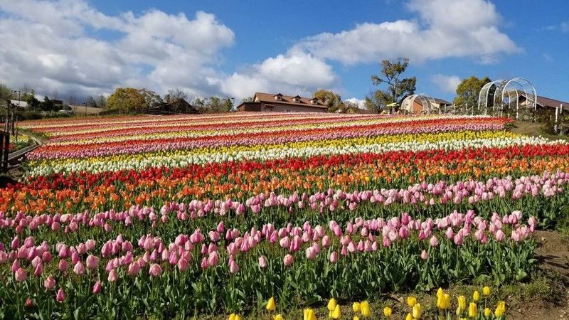 堺・緑のミュージアム ハーベストの丘