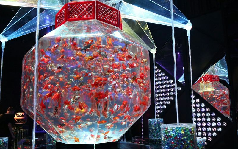 日本橋三井ホール