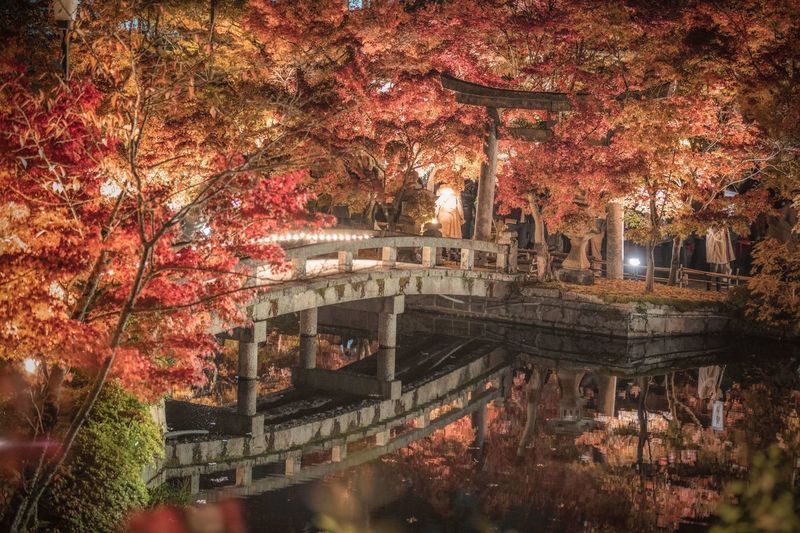 永観堂(禅林寺)