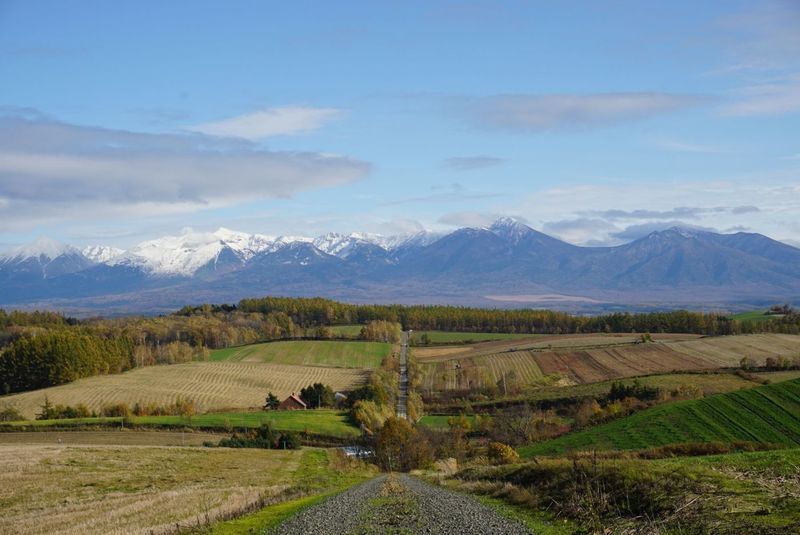 ジェットコースターの路