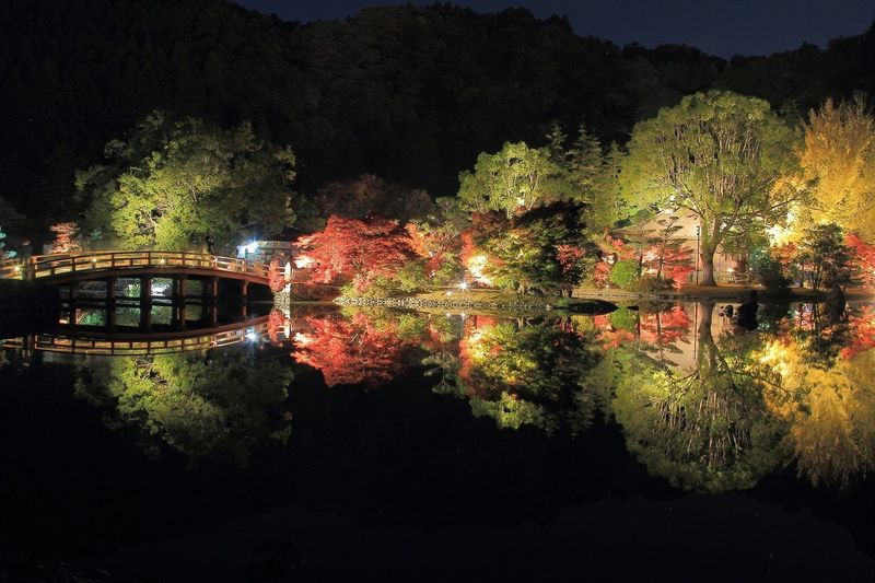 白水阿弥陀堂（願成寺）