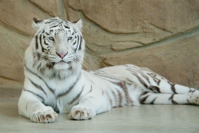 姫路セントラルパーク