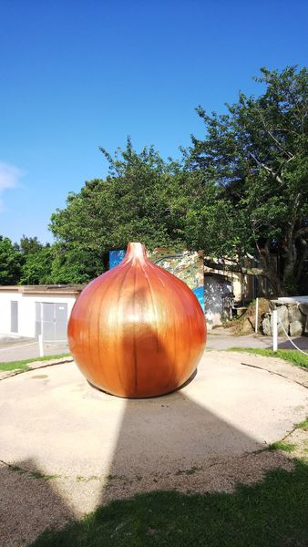 道の駅うずしお
