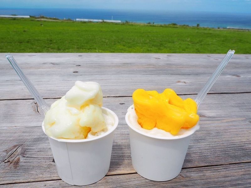 ミルミル本舗 本店