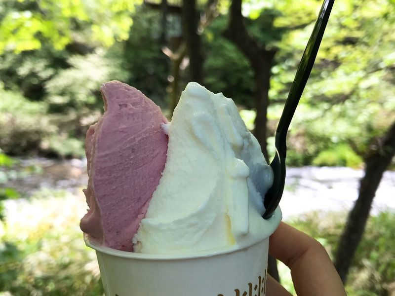 ハーベスト ナガイファーム 軽井沢店（HARVEST NAGAI FARM）