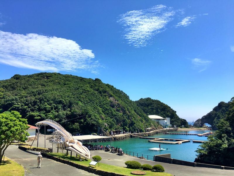 太地町立くじらの博物館 ミュージアムショップ