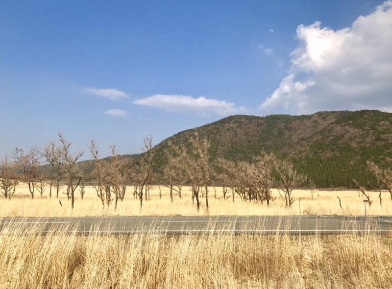 長者原ビジターセンター