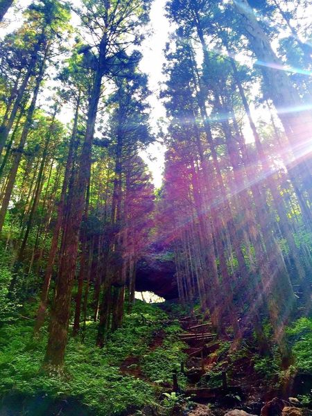 上色見熊野座神社