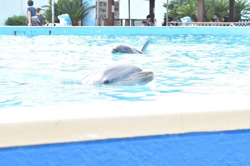 南知多ビーチランド