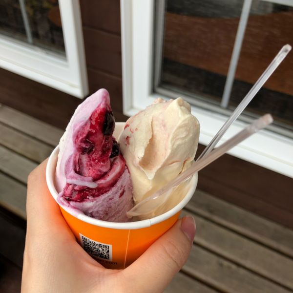 Gelateria Rimo 網走本店（ジェラテリア リモ【旧店名】リスの森）