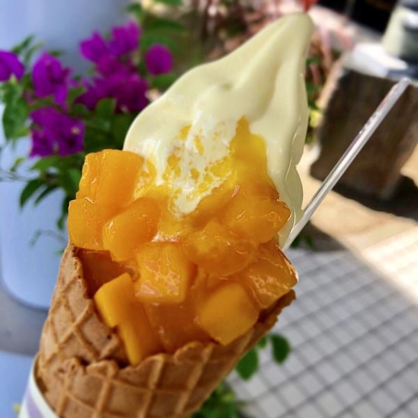 宮崎ブーゲンビリア空港