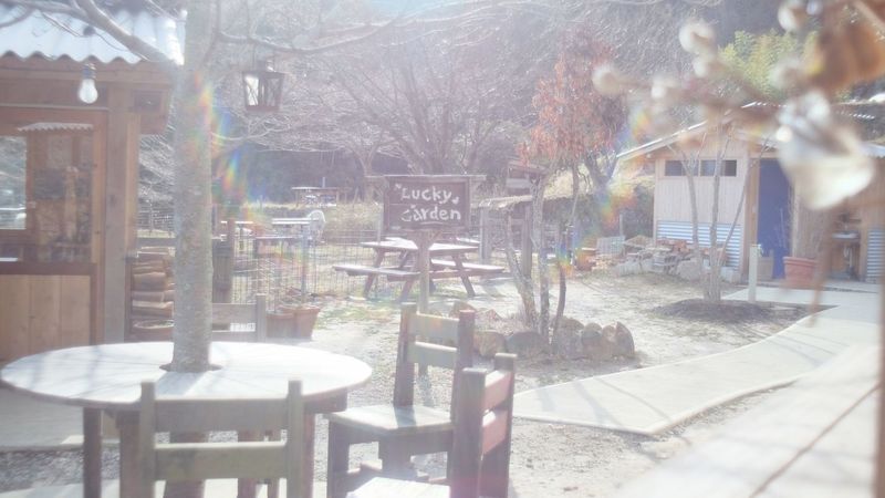 森のレストラン ラッキーガーデン