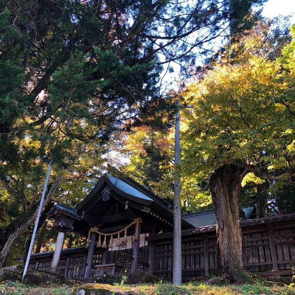 諏訪大社上社前宮