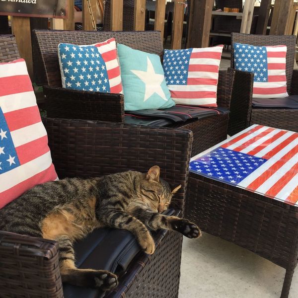 ハンモックカフェ ラ・イスラ（HAMMOCK CAFE LA ISLA）