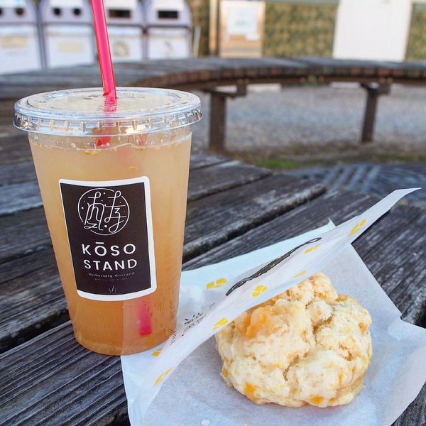 道の駅 志野・織部