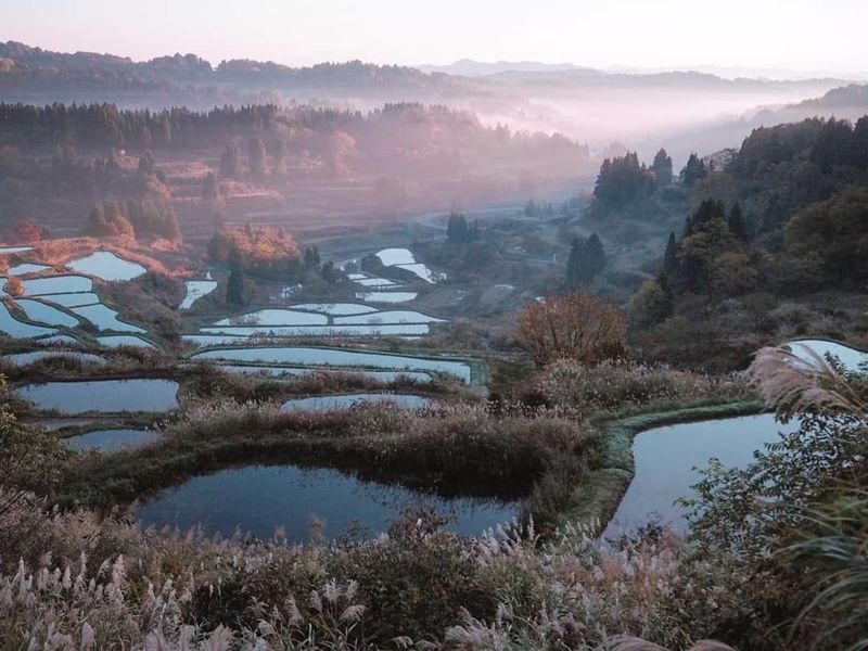 越後松代棚田群 星峠の棚田