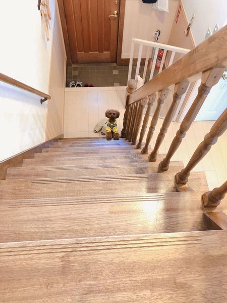 エンゼルフォレスト白河高原