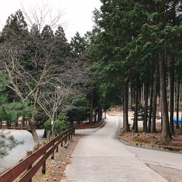 キャンプリゾート　森のひととき