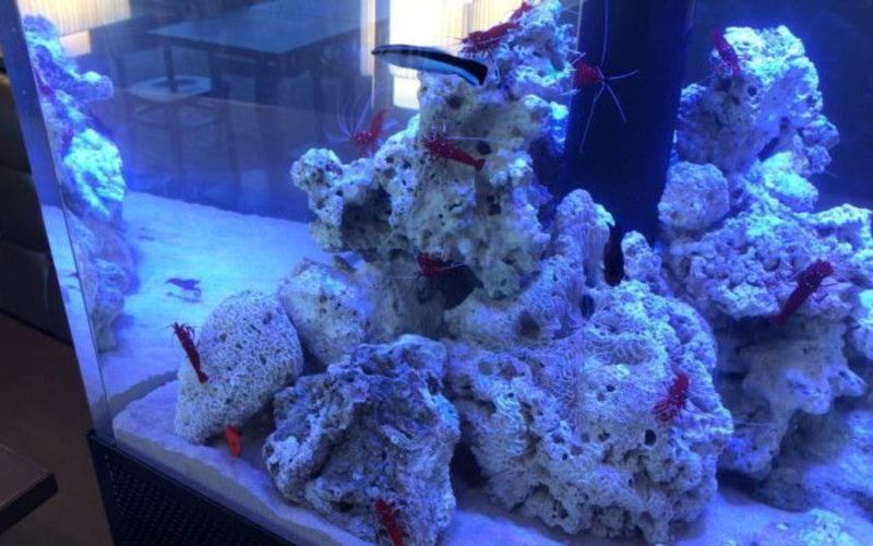 レストランテ ロス クエントス デル マール(Restorante Los Cuentos del Mar)