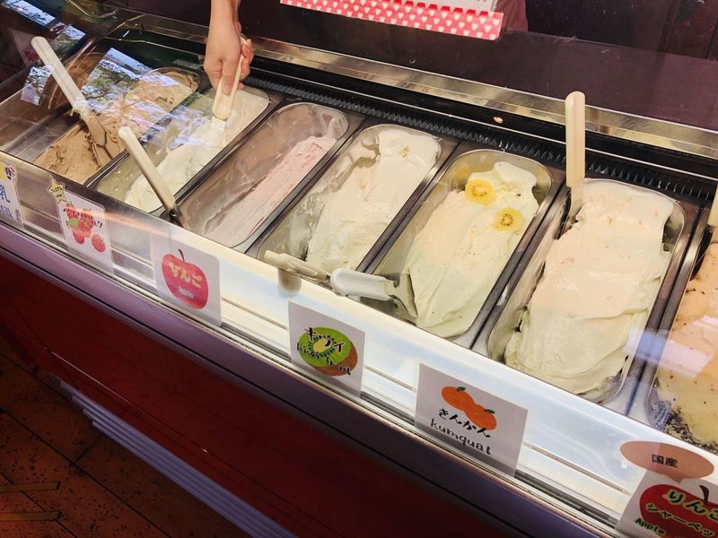 ミルキーウェイファーム