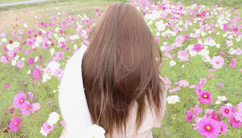 恭仁宮跡（山城国分寺跡）