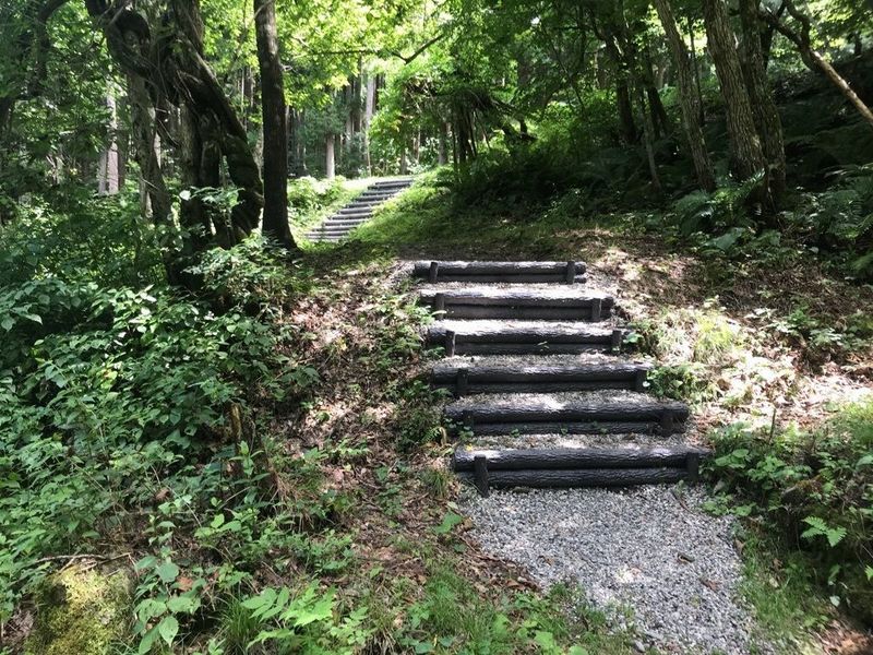 中山風穴地特殊植物群落