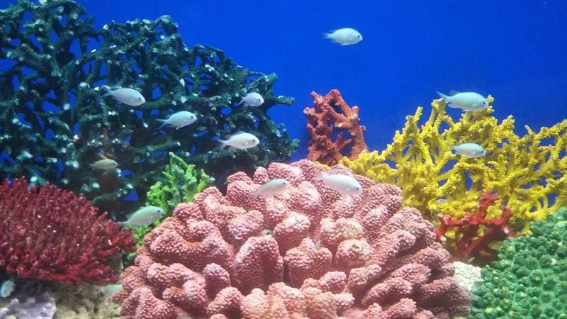 京急油壺マリンパーク