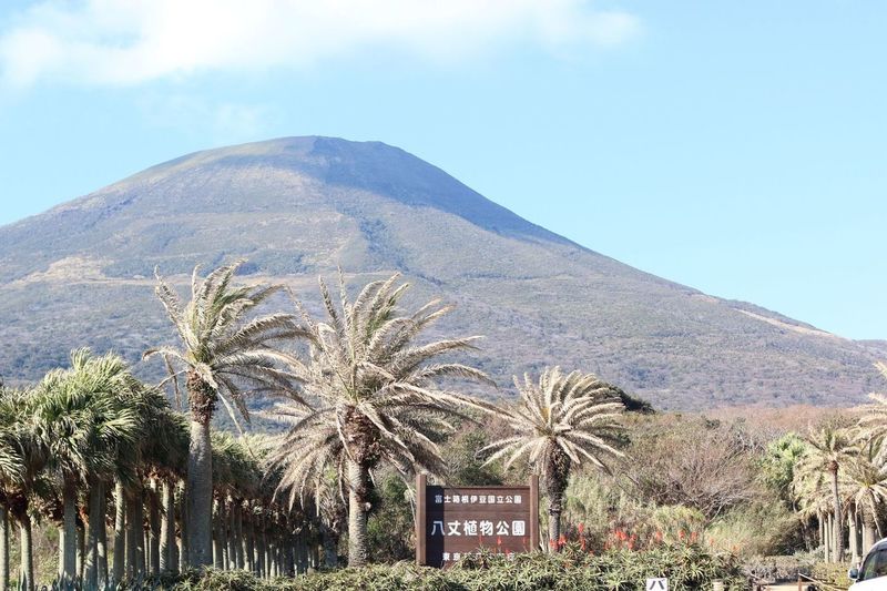 都立八丈植物公園