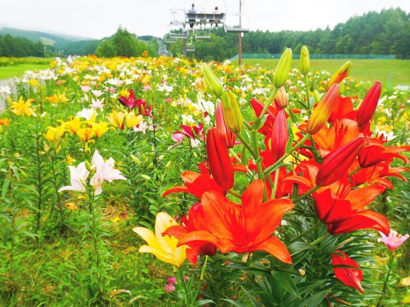 ハンターマウンテン塩原 大田原 その他 Aumo アウモ