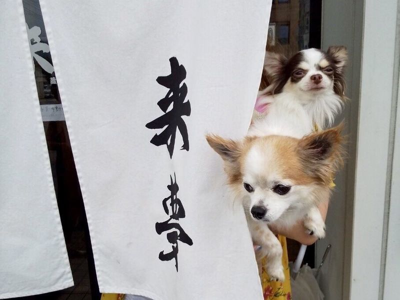 来夢 喜多方本店