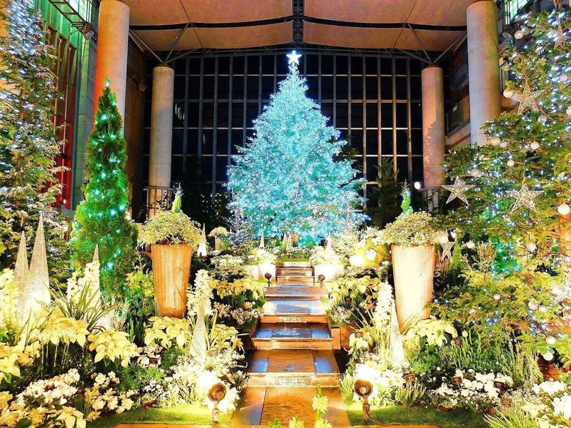 淡路夢舞台温室・奇跡の星植物館