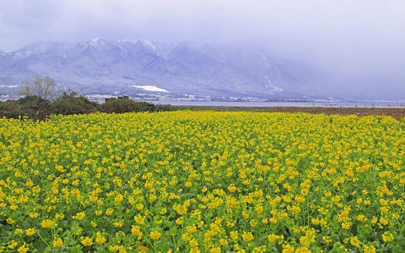 第一なぎさ公園