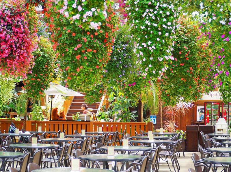 神戸どうぶつ王国