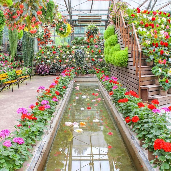 松江フォーゲルパーク