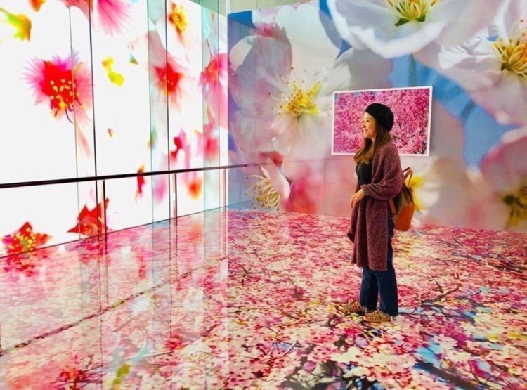 いわき市立美術館