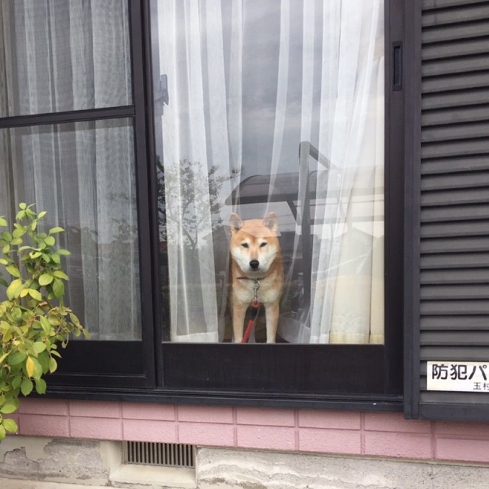 群馬県立館林美術館